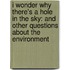I Wonder Why There's a Hole in the Sky: And Other Questions about the Environment