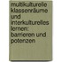 Multikulturelle Klassenräume und Interkulturelles Lernen: Barrieren und Potenzen