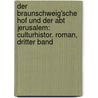 Der Braunschweig'sche Hof Und Der Abt Jerusalem: Culturhistor. Roman, Dritter Band door Hermann Klencke