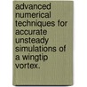 Advanced Numerical Techniques for Accurate Unsteady Simulations of a Wingtip Vortex. door Shakeel Ahmad