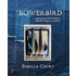 Bowerbird: Creating Beautiful Interiors with the Things You Collect. by Sibella Court