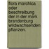Flora Marchica oder Beschreibung der in der Mark Brandenburg wildwachsenden Pflanzen.