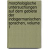 Morphologische Untersuchungen Auf Dem Gebiete Der Indogermanischen Sprachen, Volume 1 door Karl Brugmann