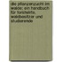Die Pflanzenzucht im Walde; ein Handbuch für Forstwirte, Waldbesitzer und Studierende