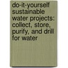 Do-It-Yourself Sustainable Water Projects: Collect, Store, Purify, and Drill for Water door Paul Dempsey