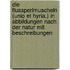 Die Flussperlmuscheln (Unio et Hyria.) in Abbildungen nach der Natur mit Beschreibungen