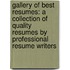 Gallery Of Best Resumes: A Collection Of Quality Resumes By Professional Resume Writers