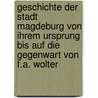 Geschichte der stadt Magdeburg von ihrem ursprung bis auf die gegenwart von F.A. Wolter door Annette Wolter