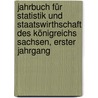 Jahrbuch für Statistik und Staatswirthschaft des Königreichs Sachsen, erster Jahrgang door Ernst Engel