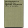 The Undesirable Black Diamond: Broken, Unpolished, Extracted and Refined for Perfection door Sally R. McGoon