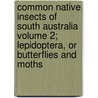 Common Native Insects of South Australia Volume 2; Lepidoptera, or Butterflies and Moths door Lydia Ray Balderston