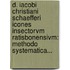 D. Iacobi Christiani Schaefferi Icones Insectorvm Ratisbonensivm: Methodo Systematica...