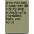 Grow Your Own in Pots: With 30 Step-By-Step Projects Using Vegetables, Fruits, and Herbs