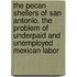 The Pecan Shellers of San Antonio. the Problem of Underpaid and Unemployed Mexican Labor