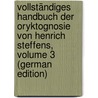 Vollständiges Handbuch Der Oryktognosie Von Henrich Steffens, Volume 3 (German Edition) door Steffens Henrich