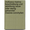 Mollusca marina : Beschreibung und Abbildung neuer oder wenig gekannter Meeres-Conchylien door Dunker