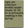 Rigby Pm Coleccion: Leveled Reader (levels 12-14) En La Primavera (walking In The Spring) door Authors Various