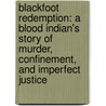 Blackfoot Redemption: A Blood Indian's Story of Murder, Confinement, and Imperfect Justice door William E. Farr