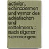 Actinien, Echinodermen und Wrmer des Adriatischen- und Mittelmeers : nach eigenen Sammlungen