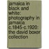 Jamaica in Black and White: Photography in Jamaica C.1845-C.1920: The David Boxer Collection