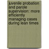 Juvenile Probation and Parole Supervision: More Efficiently Managing Cases During Lean Times door Angie F. Rita
