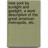 New York by sunlight and gaslight. A work descriptive of the great American metropolis, etc. door James Dabney Maccabe