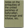 Notes on the antiquities of the United Parishes of Ballycallan, Kilmanagh and Killaloe, etc. by J. Holahan