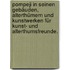 Pompeji in seinen Gebäuden, Alterthümern und Kunstwerken für Kunst- und Alterthumsfreunde.