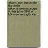 Album: Zum Besten Der Durch Die Ueberschwemmungen Im Frühjahre 1845 In Böhmen Verunglückten door Adolph Schmidl