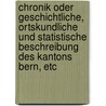 Chronik oder geschichtliche, ortskundliche und statistische Beschreibung des Kantons Bern, etc door Albert Jahn