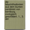 Die Labyrinthodonten aus dem bunten Sandstein von Bernburg, zoologisch geschildert. 1., 3. Abt door Hermann Burmeister