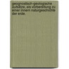 Geognostisch-geologische Aufsätze, als Vorbereitung zu einer innern Naturgeschichte der Erde. door Henrik Steffens