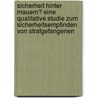 Sicherheit hinter Mauern? Eine qualitative Studie zum Sicherheitsempfinden von Strafgefangenen door Ina Morgenroth