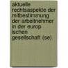 Aktuelle Rechtsaspekte Der Mitbestimmung Der Arbeitnehmer in Der Europ Ischen Gesellschaft (Se) door Selcuk-Ilhan Akyildiz