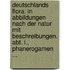 Deutschlands Flora: In Abbildungen Nach Der Natur Mit Beschreibungen. Abt. I., Phanerogamen ...