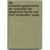 Die Entwicklungsgeschichte der Mineralien der Talkglimmer-familie und ihrer Verwandten: Sowie . by Heinrich Otto Volger Georg