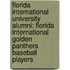 Florida International University Alumni: Florida International Golden Panthers Baseball Players