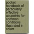 Pocket Handbook of Particularly Effective Acupoints for Common Conditions Illustrated in Colorr