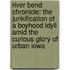 River Bend Chronicle: The Junkification of a Boyhood Idyll Amid the Curious Glory of Urban Iowa