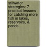 Stillwater Strategies: 7 Practical Lessons for Catching More Fish in Lakes, Reservoirs, & Ponds by Tim Lockhart