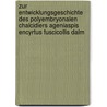 Zur Entwicklungsgeschichte des polyembryonalen Chalcidiers Ageniaspis Encyrtus fuscicollis Dalm door Jacques Martin