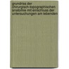 Grundriss der chirurgisch-topographischen Anatomie mit Einschluss der Untersuchungen am Lebenden door Hildebrand Otto