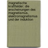 Magnetische Kraftfelder: Die Erscheinungen Des Magnetismus, Elektromagnetismus Und Der Induktion by Hermann Ebert