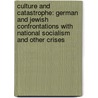 Culture And Catastrophe: German And Jewish Confrontations With National Socialism And Other Crises door Steven E. Aschheim