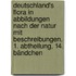 Deutschland's Flora in Abbildungen nach der Natur mit Beschreibungen. 1. Abtheilung, 14. Bändchen