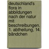 Deutschland's Flora in Abbildungen nach der Natur mit Beschreibungen. 1. Abtheilung, 14. Bändchen door Jakob Sturm