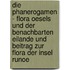Die Phanerogamen - Flora Oesels und der benachbarten Eilande und Beitrag zur Flora der Insel Runoe