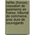 Faillite (France): Cessation de Paiements En France, Tribunal de Commerce, Proc Dure de Sauvegarde