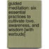 Guided Meditation: Six Essential Practices to Cultivate Love, Awareness, and Wisdom [With Earbuds]