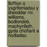 Lloffion O Ysgrifeniadau Y Diweddar Mr. Williams, Bodlondeb, Machynlleth, Gyda Chofiant A Nodiadau